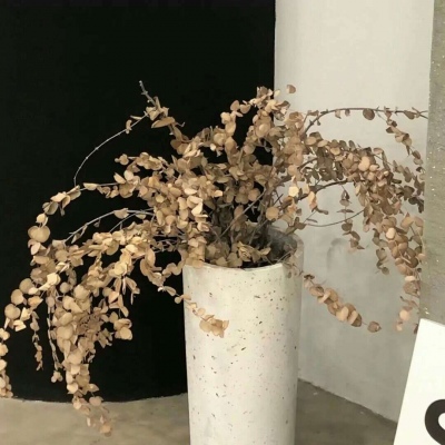 兽设冰川场景创作Furry群